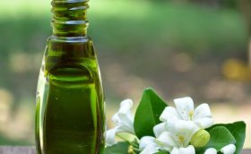bhringraj-and-other-hair-growth-oils